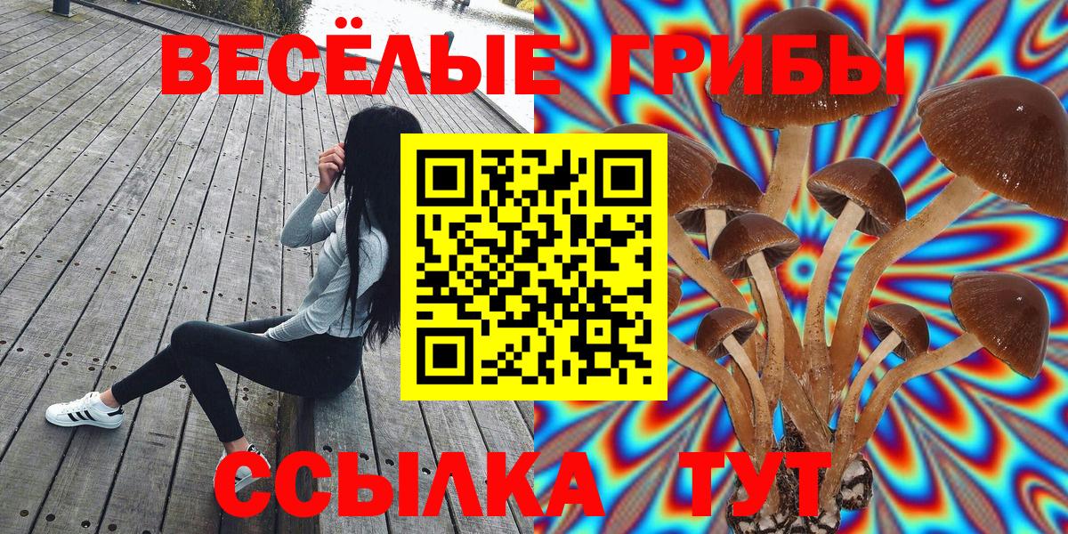 Тимашёвск  Псилоцибиновые грибы Cubensis  Вход с VPN 